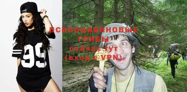 гидропоника Карталы