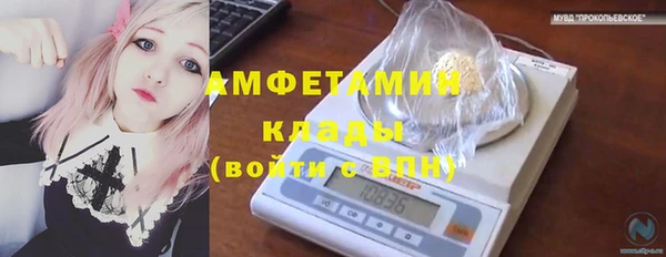 гидропоника Карталы