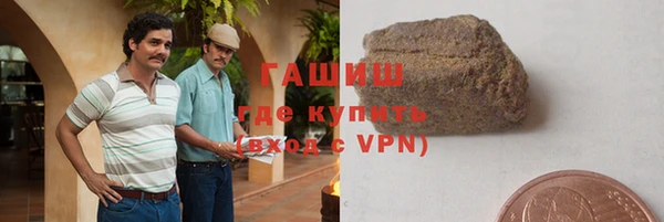 гашик Карпинск