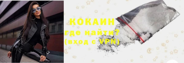 гашик Карпинск
