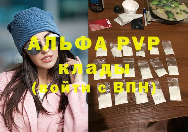 гашик Карпинск