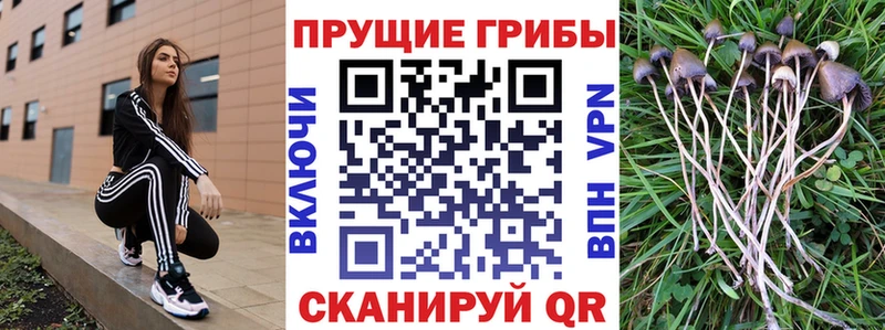 Галлюциногенные грибы мицелий  где купить наркоту  Шиханы 